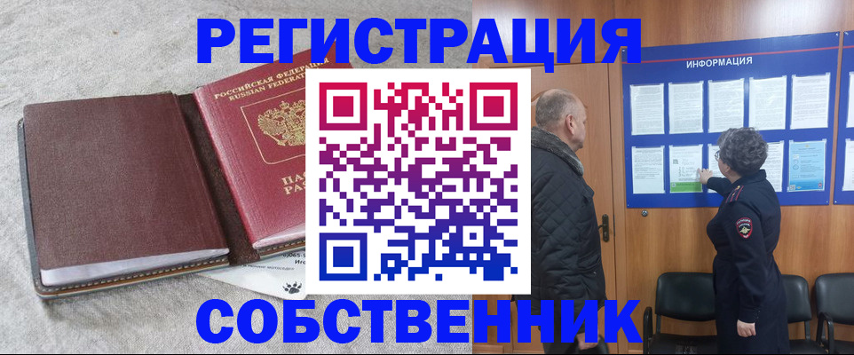 временная регистрация надежно в Заинске